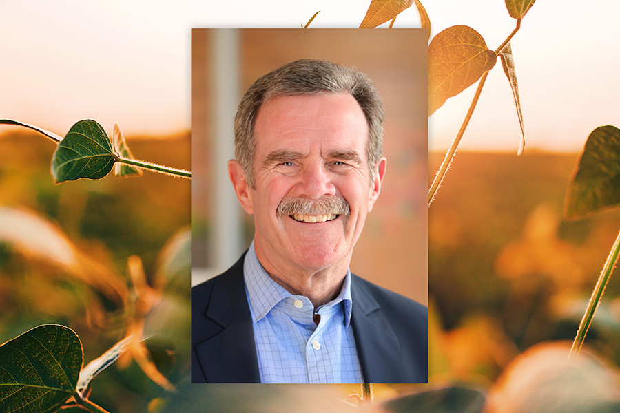 Insight Into Global And Domestic Market Trends